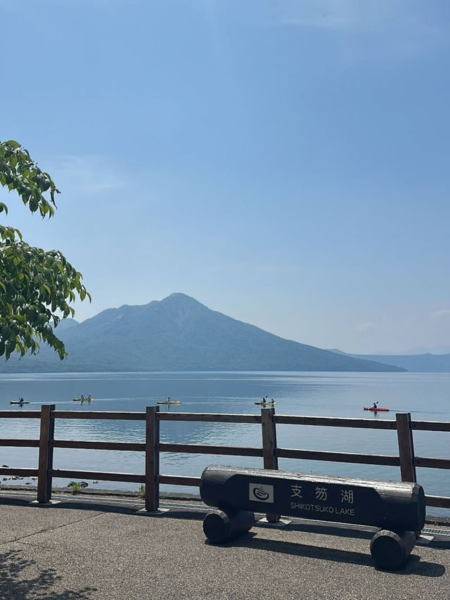 🎯【北海道・支笏湖】“水深日本一”の透明湖、自然散策とカフェ時間