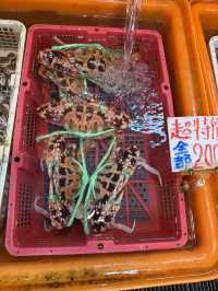 台灣北海岸 龜吼漁港