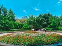Sunshine Day @ People Park Chengdu