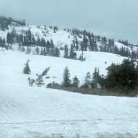 หิมะครั้งแรกของฉัน ณ กำแพงหิมะ Murodo Snow Wall 