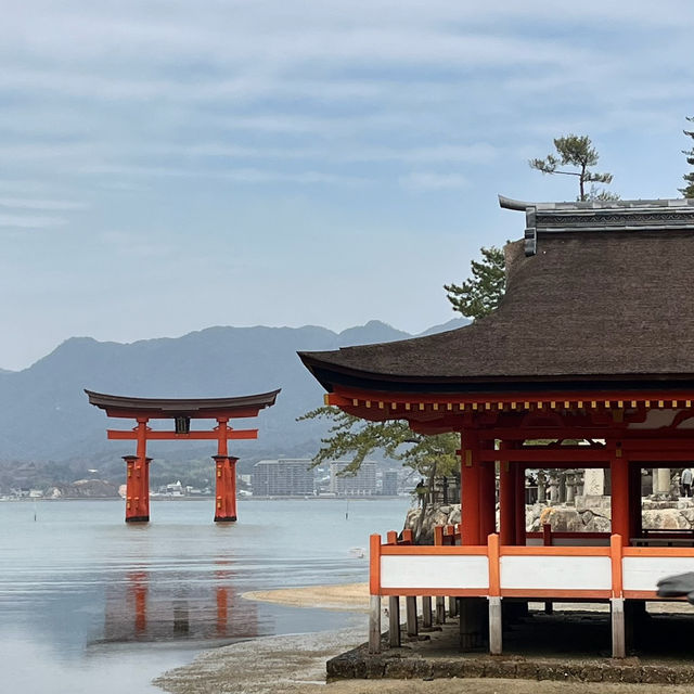 【広島/宮島🇯🇵】神秘的な風景に心揺れる⛩ 嚴島神社