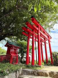 🏯☀️ Summer Weekend in Hamamatsu: Castle, Music & Eel Delights