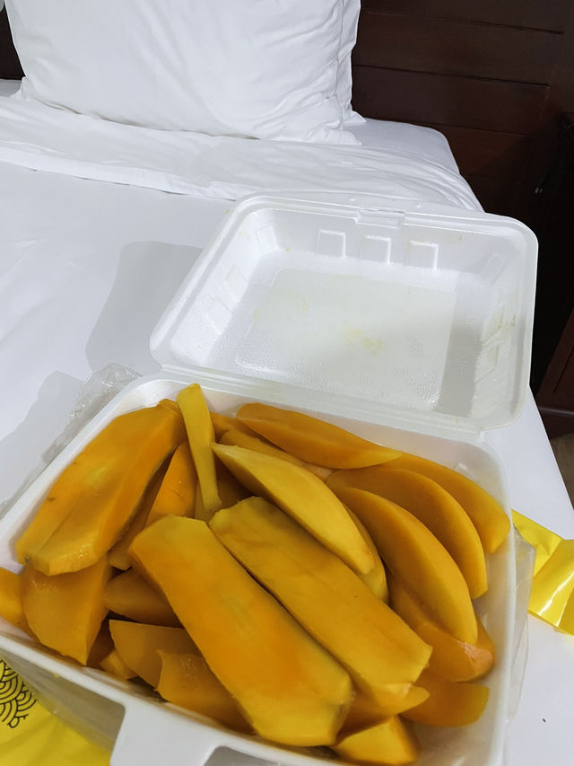 푸꾸옥 5박6일 여행코스 🇻🇳북부/중부/남부🇻🇳