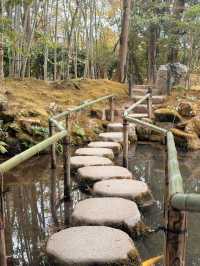 京都·天授庵｜青苔、木廊、錦鯉和古都的慢時間