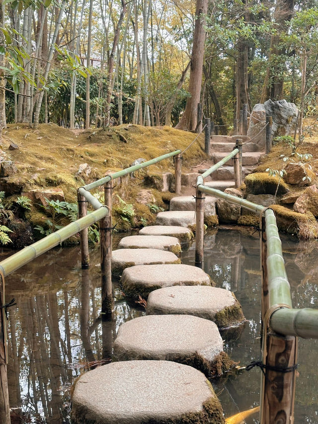 京都·天授庵｜青苔、木廊、錦鯉和古都的慢時間