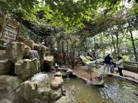 Farm In The City KL – A Fun and Hands-On Experience for the Whole Family