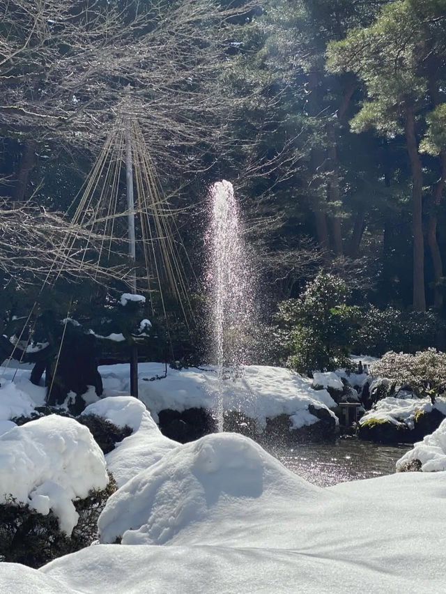 四季が彩る日本庭園🌸兼六園で心ほどけるひとときを
