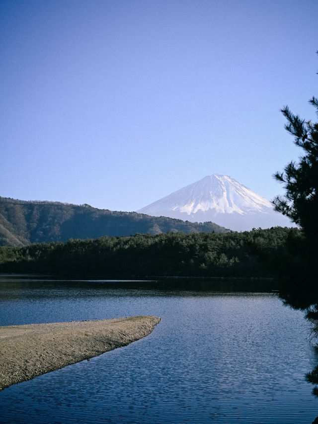 【富士山で心震える絶景旅】日本一の山で自然と歴史に触れる🌄🗻