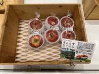 🍎 Apple Wonderland by the Sea – A-FACTORY is Aomori’s Sweetest Stop!