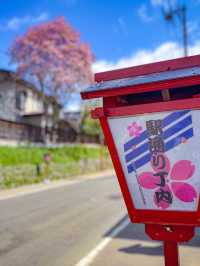 หมู่บ้านซามูไร Kakunodate (角館) – เมืองเล็ก ๆ ในจัง