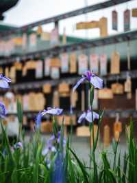 【光の道に導かれて✨】宮地嶽神社で神秘と絶景の旅