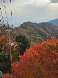 🚠乘纜車，穿越日本神戶六甲山的綠意時光