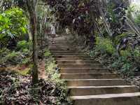 Tarn Magic Garden