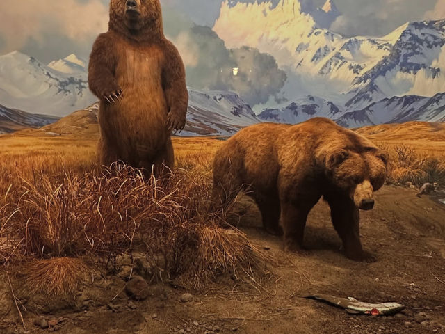 🏺【カナダの物語に触れる旅！歴史博物館で時空を超える体験】