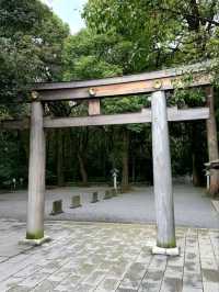 Peace in the Heart of Tokyo: Meiji Jingu Shrine