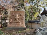 【圓満寺】恋愛成就のパワースポットで、願いを込める旅💌🌸