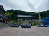 부산 도심 속 사찰, 삼광사🏮