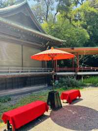 自由が丘🇯🇵縁結びで人気の熊野神社でパワーチャージ💪⟡.·