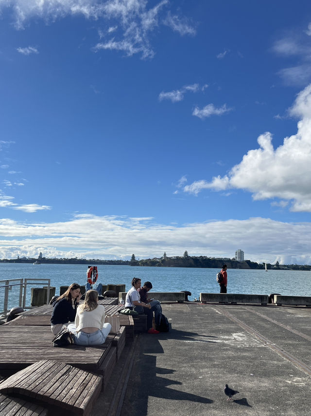 🌿🌊 🌿【奧克蘭市區一日遊】🌊走路就能到的療癒綠地＋海邊放空行程！