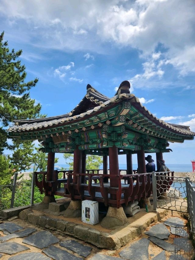 🤍강원도 고성여행, 해안 절경이 아름다운 "천학정"🤍