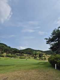 🌿 용인 처인 체력단련장, 가까운 곳에서 누리는 필드의 여유