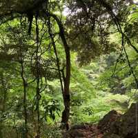 Todoroki Valley (Setagaya)