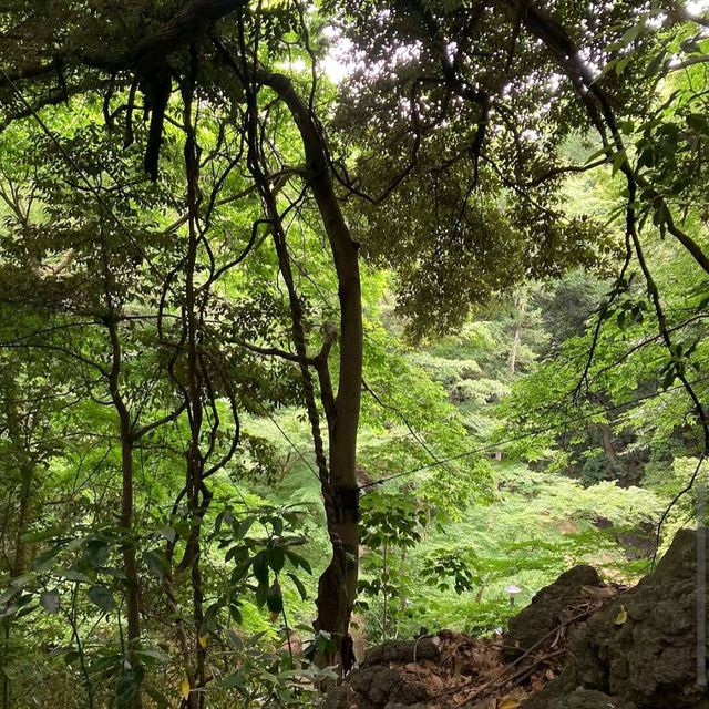 Todoroki Valley (Setagaya)