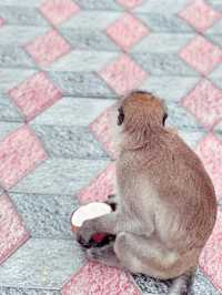 Stairway to Wonder: Discover the Magic of Batu Caves!