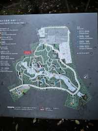 Nezu Museum: Tokyo’s Hidden Garden of Art