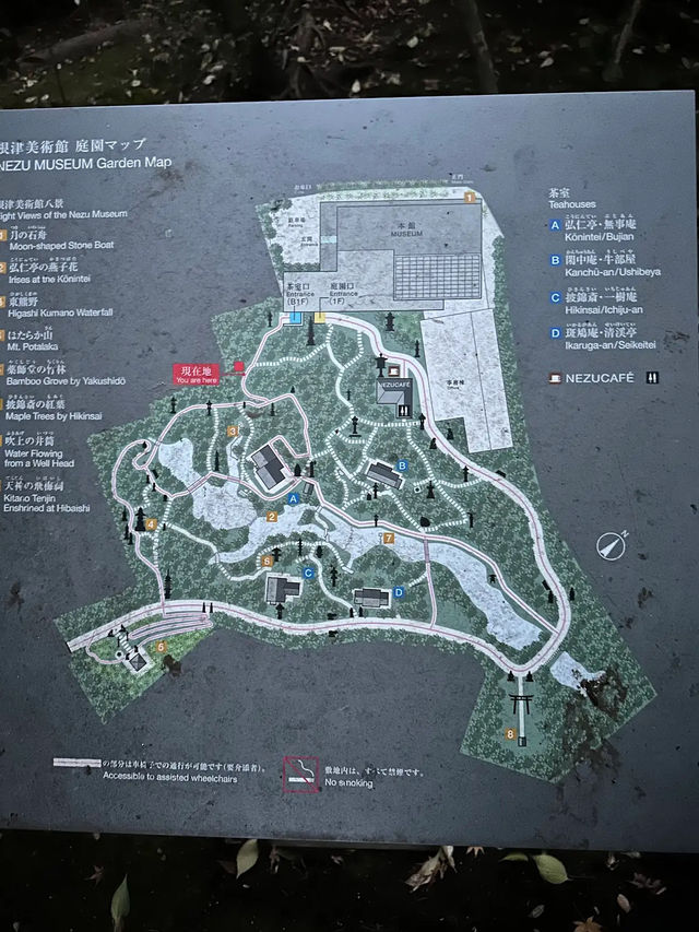 Nezu Museum: Tokyo’s Hidden Garden of Art