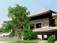 วัดซีซ่าน (Tsz Shan Monastery)