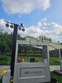 Dine and admire the blooms at WF Central Gardens Cafe