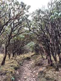 Wandering Phobjikha Valley