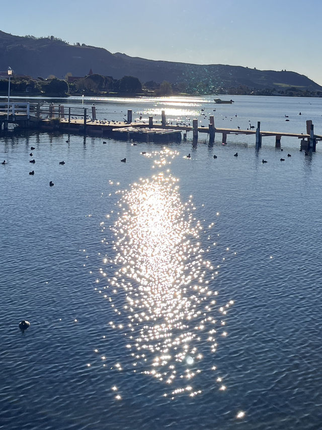 💙🦢 New Zealand’s Lake Days – Where the Sky Meets the Water