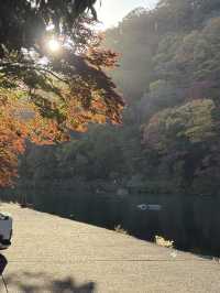 京都・嵐山の紅葉
