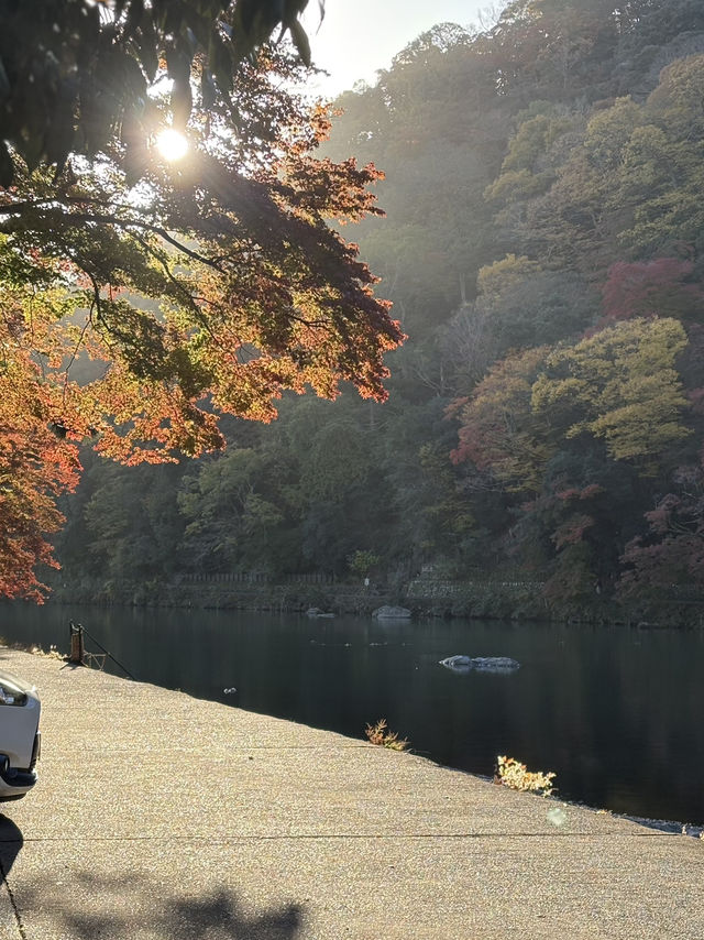 京都・嵐山の紅葉