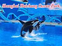 Shanghai Haichang Ocean Park สวนสัตว์น้ำเซี่ยงไฮ้