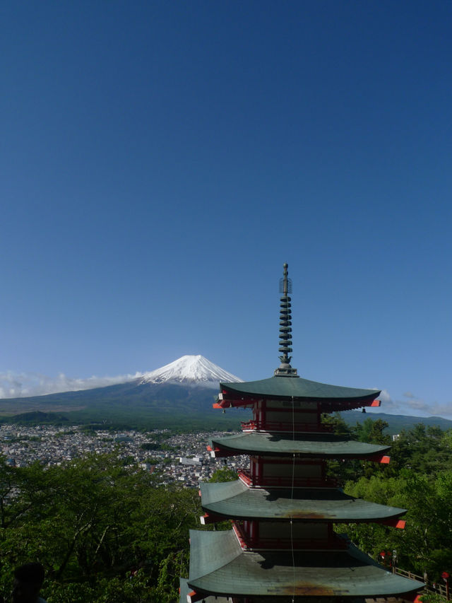 🌸 富士山下的靜謐時光｜新倉富士淺間神社・忠靈塔 🗻⛩️