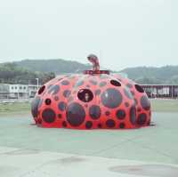 เที่ยวเกาะศิลปะ Naoshima & Teshima ผ่านกล้องฟิล์ม