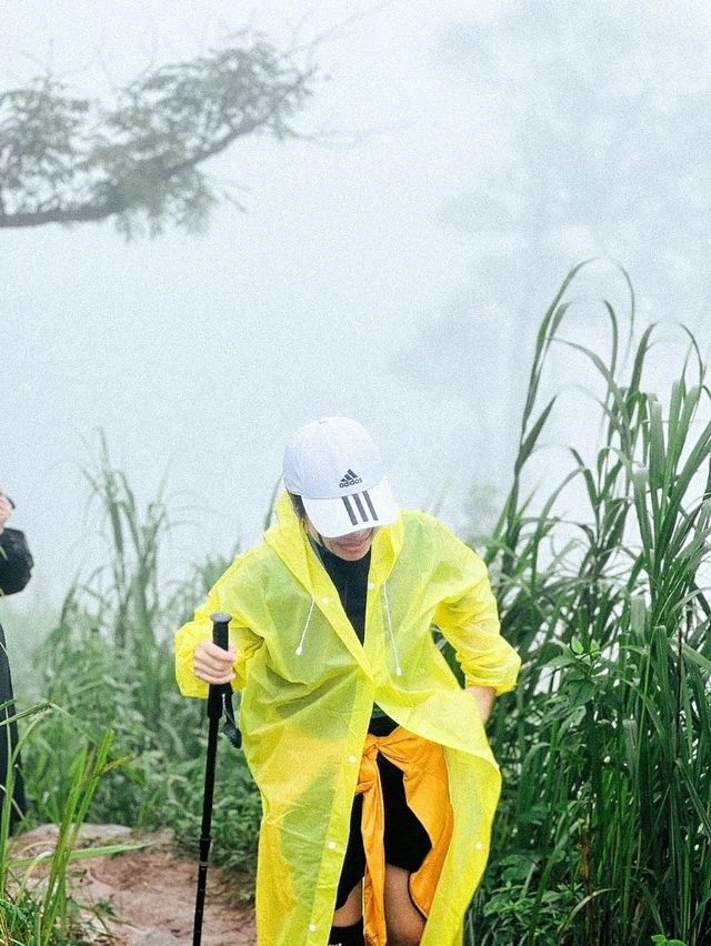 เดินป่าปลายฝนต้องภูสอยดาวววว : (สอยเธอไม่ได้ ไปสอยดาวล่ะกัน 😆)