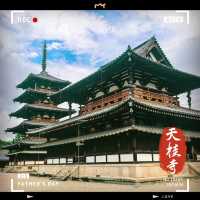 天桂寺•靜謐之美