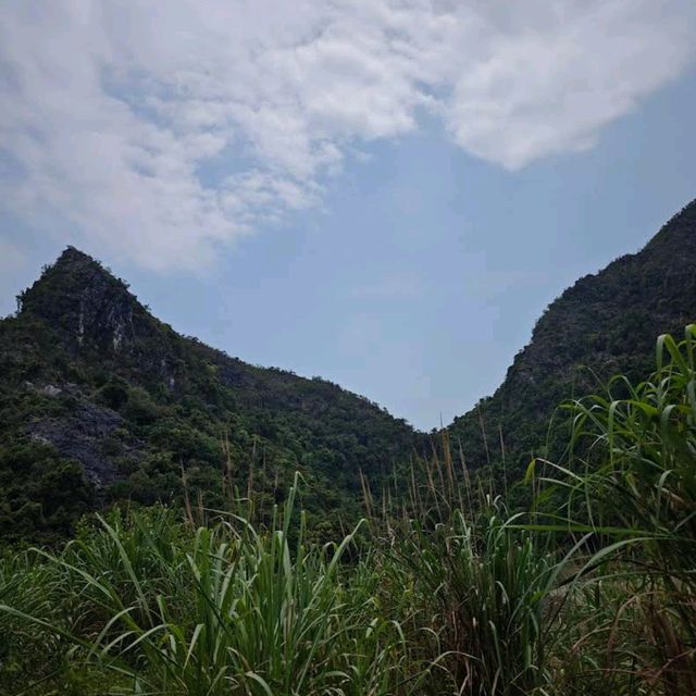 Cat Ba National Park