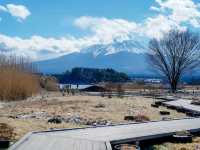 ชมภูเขาไฟฟูจิ Kawaguchiko