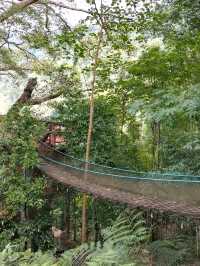 The Giant Chiangmai จ.เชียงใหม่