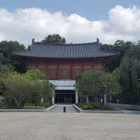 🌆 Solo Adventure: Gwangju’s Hidden Gems in a Day
