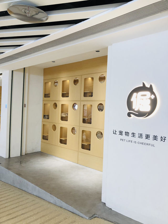 可愛的貓貓🐱店舖