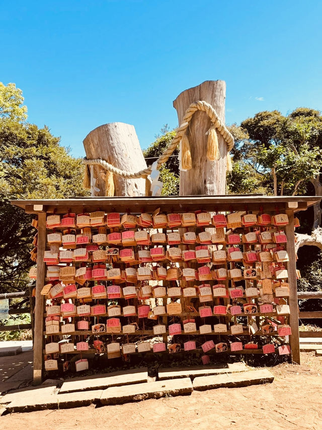 ⛩️ Solo Spiritual Escape: Enoshima Shrine – Island of Dragons & Sea Goddesses