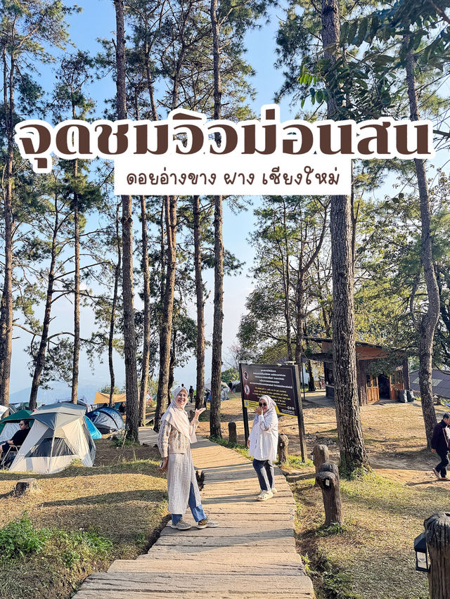 จุดชมวิวม่อนสน