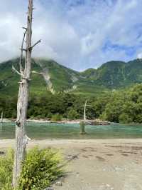 【夏旅×信州2泊3日旅】  上高地 朝霧に包まれた大正池