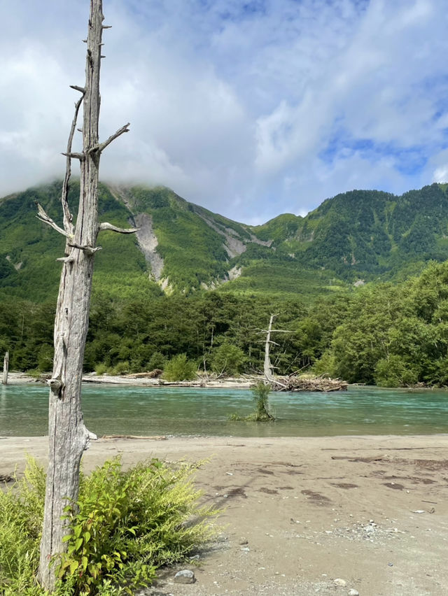 【夏旅×信州2泊3日旅】  上高地 朝霧に包まれた大正池